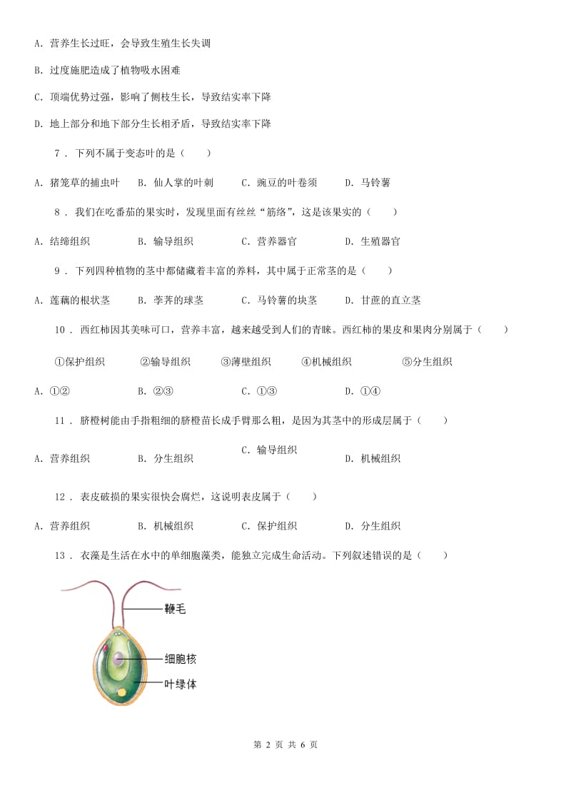 七年级上册生物 2.2细胞怎样构成生物体 单元测试题_第2页