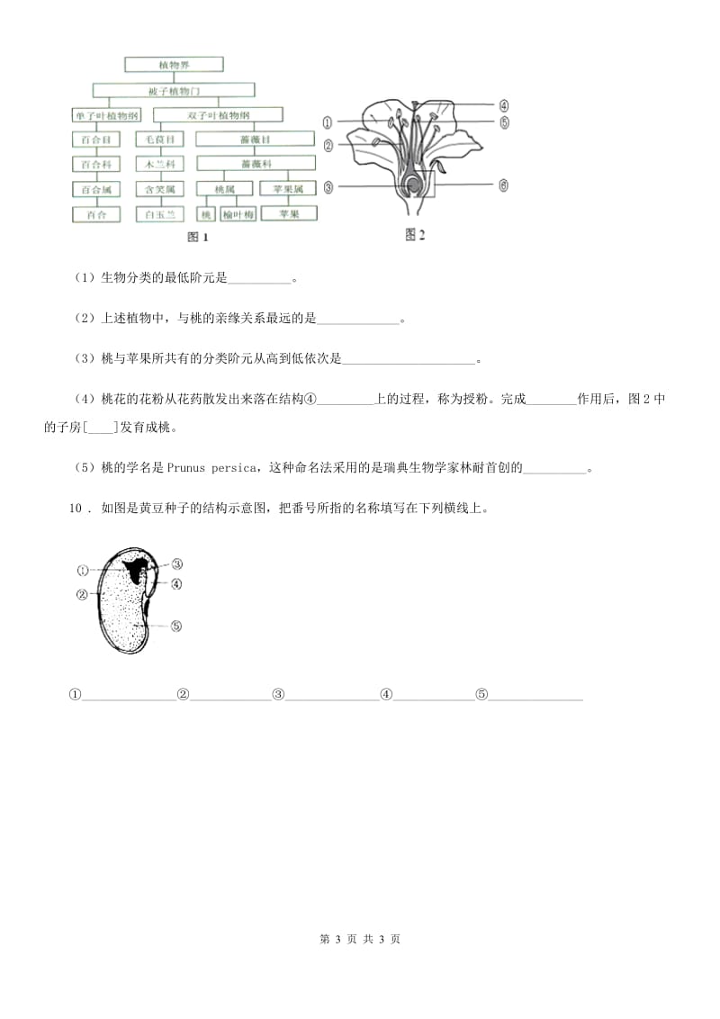 生物七年级上册3.2.3开花和结果同步检测题_第3页