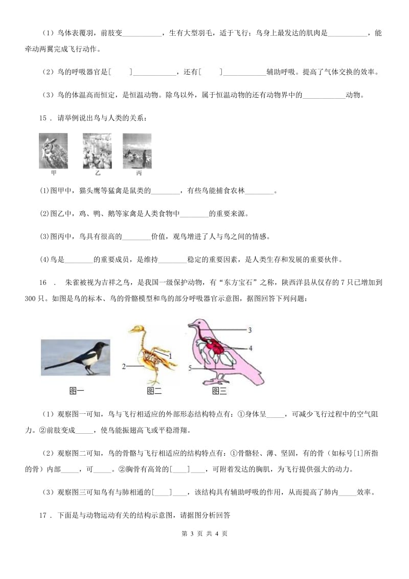 八年级生物上册同步练习：5.1.6　鸟_第3页