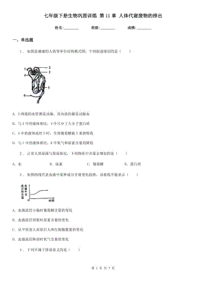 七年級(jí)下冊(cè)生物鞏固訓(xùn)練 第11章 人體代謝廢物的排出