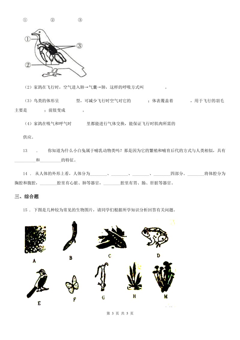 吉林省2019版八年级上册生物 5.14.2千姿百态的动物世界 同步测试题B卷_第3页