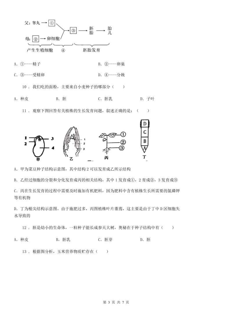 八年级上册生物 第七单元 19.2 植物的生长发育 同步练习题_第3页