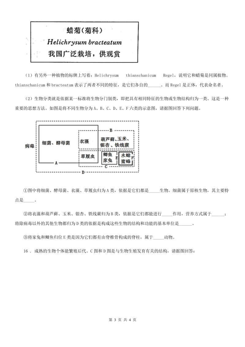 七年级上册生物 1.3.5裸子植物 同步测试题_第3页