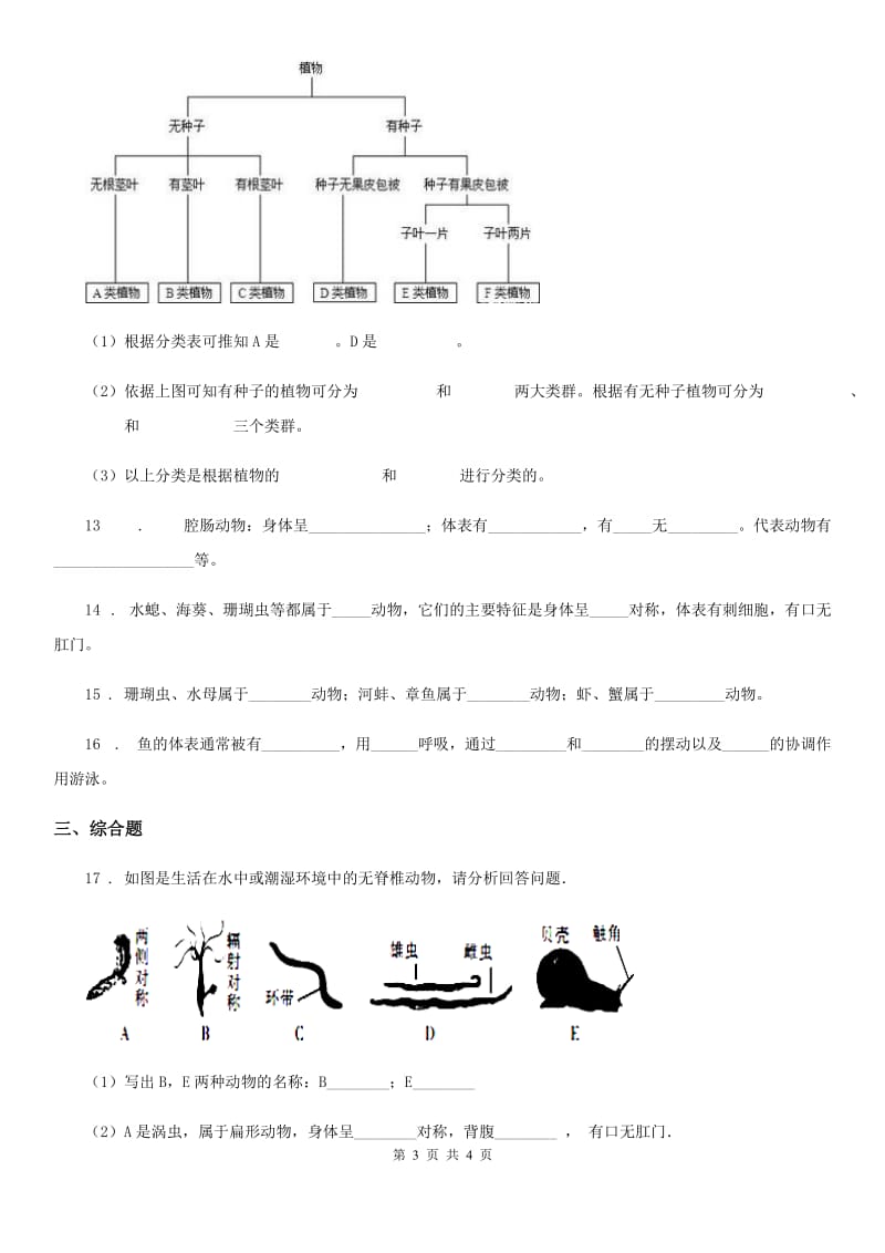 陕西省2019-2020年度八年级上册生物 7.1.1腔肠动物和扁体动物 同步测试题B卷_第3页
