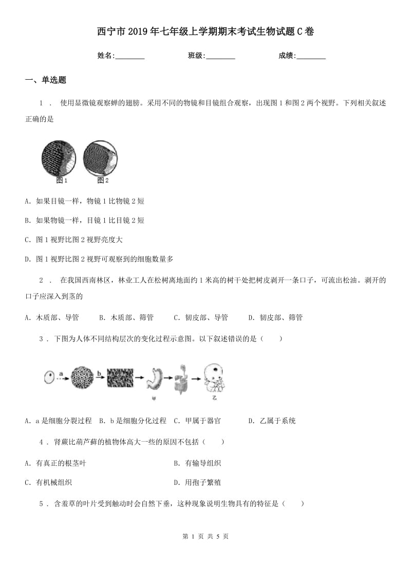 西宁市2019年七年级上学期期末考试生物试题C卷_第1页