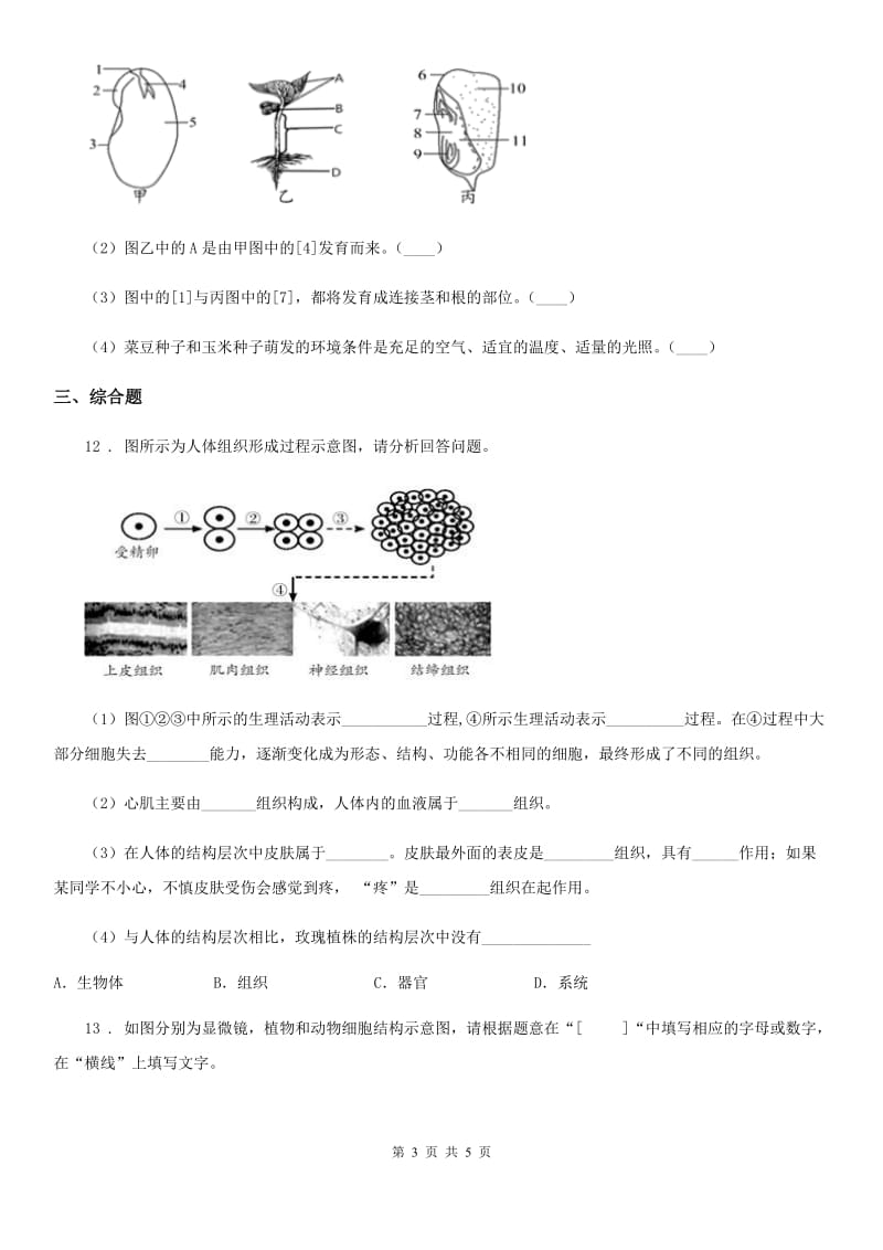 广州市2019-2020年度七年级第一次月考生物试题A卷_第3页