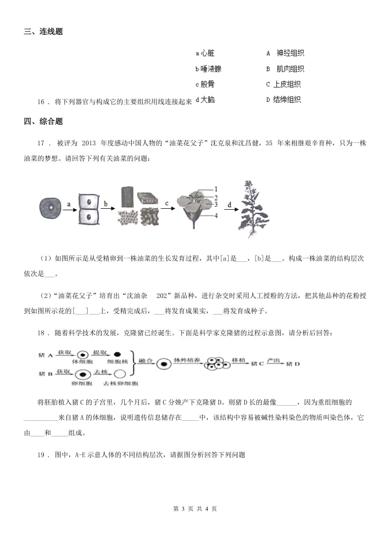 银川市2020年七年级上册生物 2.2细胞怎样构成生物体 同步测试题B卷_第3页