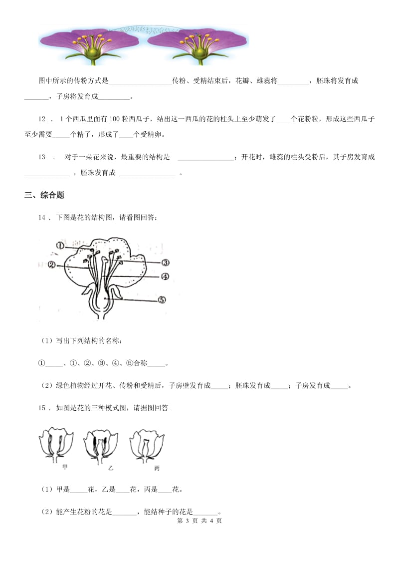 福州市2019-2020学年七年级上册生物 3.6.3生殖器官的生长同步测试题B卷_第3页