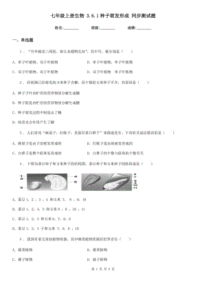 七年級上冊生物 3.6.1種子萌發(fā)形成 同步測試題