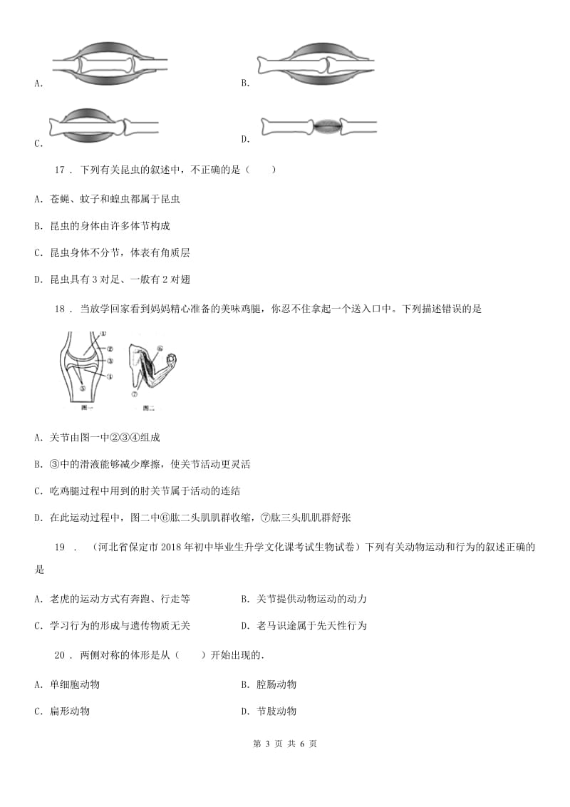 南宁市2020版八年级10月月考生物试题B卷_第3页