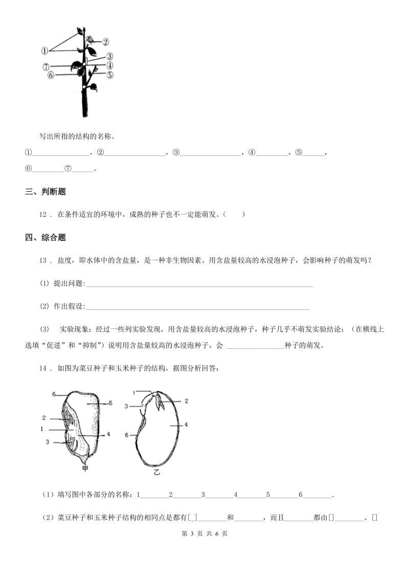 八年级上册生物 7.19.2植物的生长发育 同步测试题_第3页