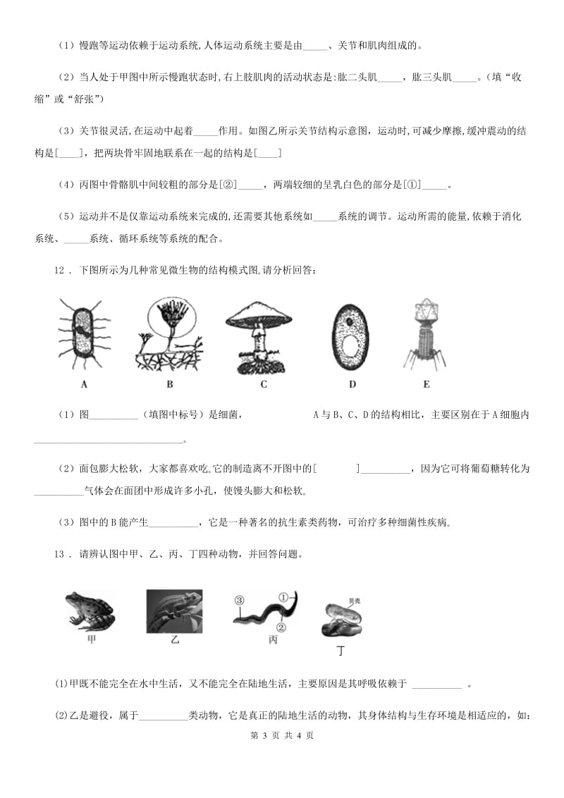 兰州市2019-2020年度八年级上学期期中生物试题（II）卷_第3页