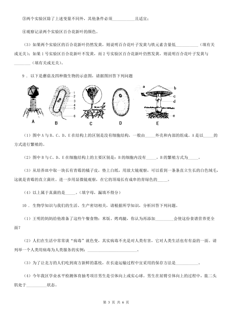 八年级生物上册同步练习：第五单元 第五章　病毒_第3页