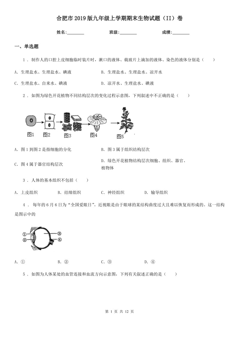 合肥市2019版九年级上学期期末生物试题（II）卷_第1页