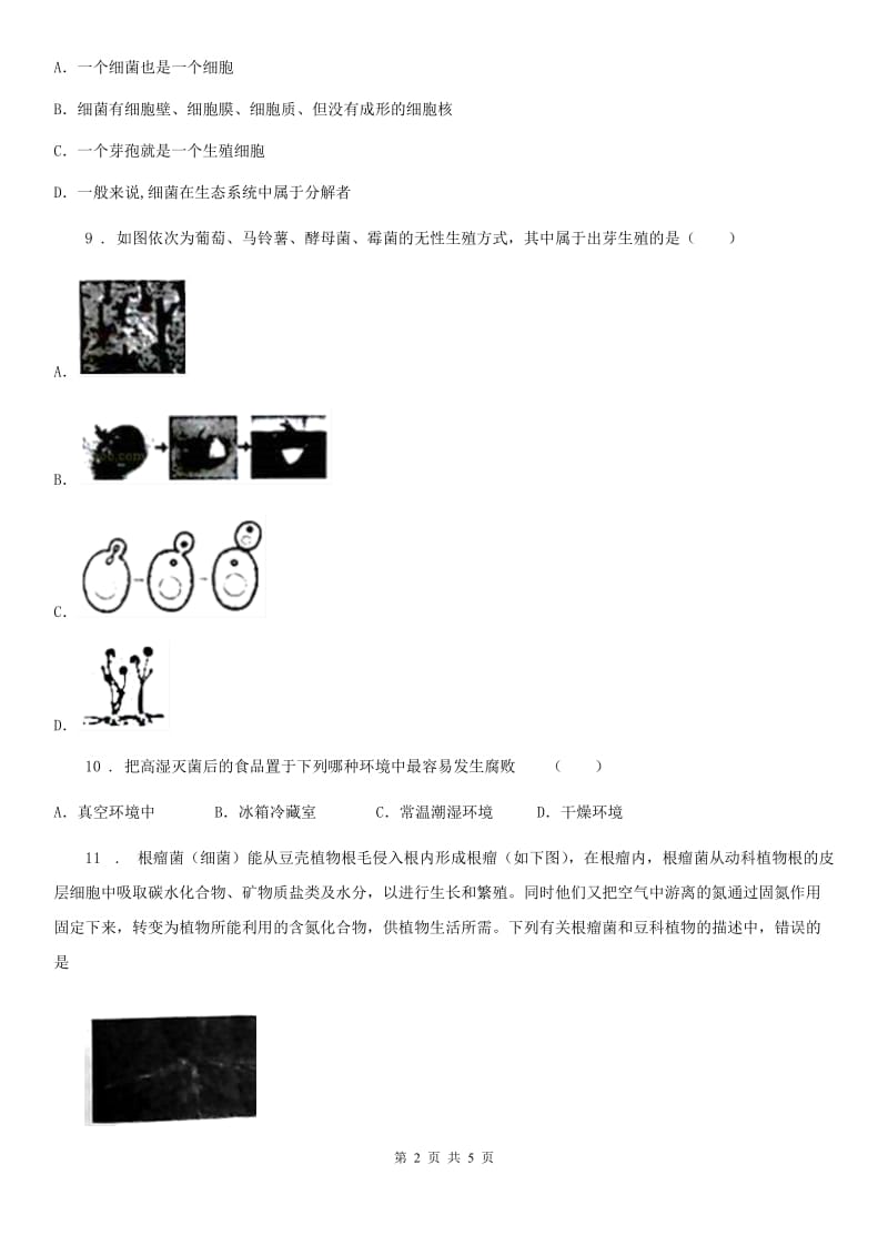 银川市2020年七年级下册生物 11.2细菌 同步测试题B卷_第2页