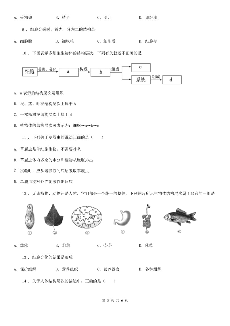 七年级上册生物（人教版）：细胞怎样构成生物体单元过关测试题_第3页