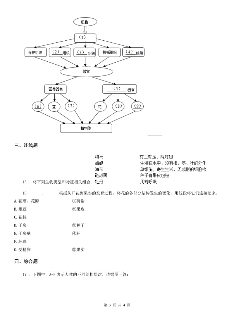 广州市2020版七年级上册生物 1.3.1在实验室里观察植物同步测试题C卷_第3页