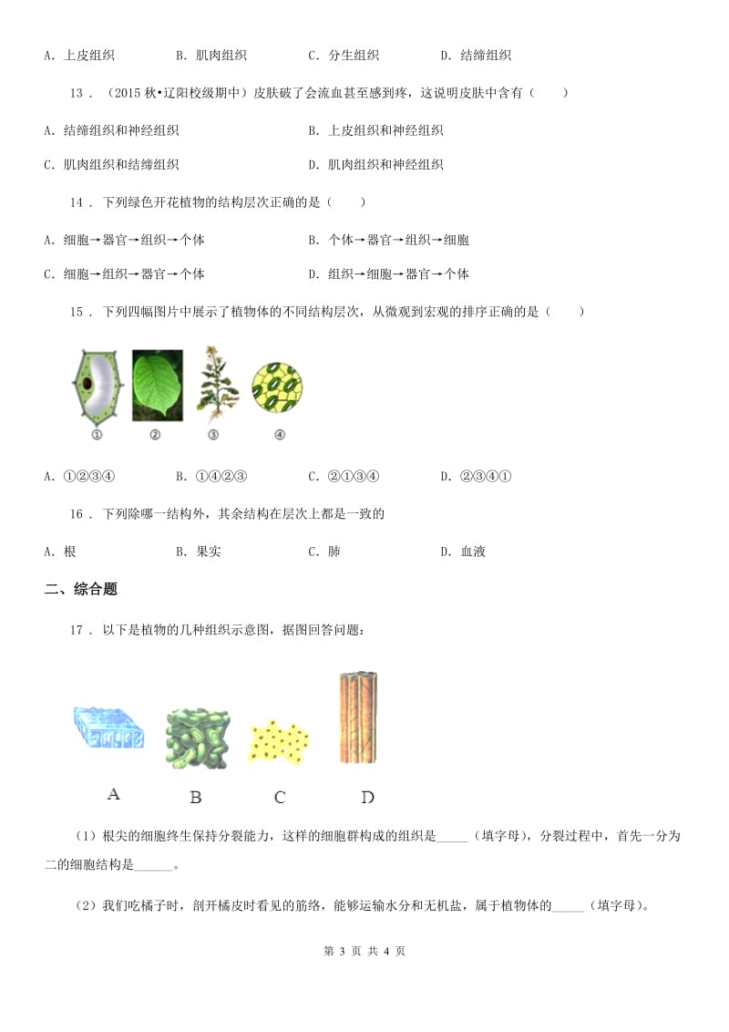 七年级生物上册2.2.3植物体的结构层次测试题_第3页