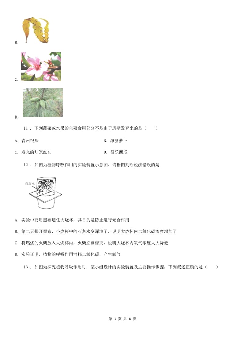 南京市2020年七年级上册生物第三单元 生物圈中的绿色植物 单元巩固练习题D卷_第3页