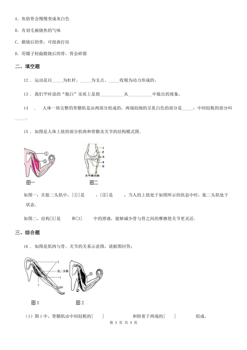 杭州市2020年八年级生物上册 5.15.2动物运动的形成 同步测试题（II）卷_第3页