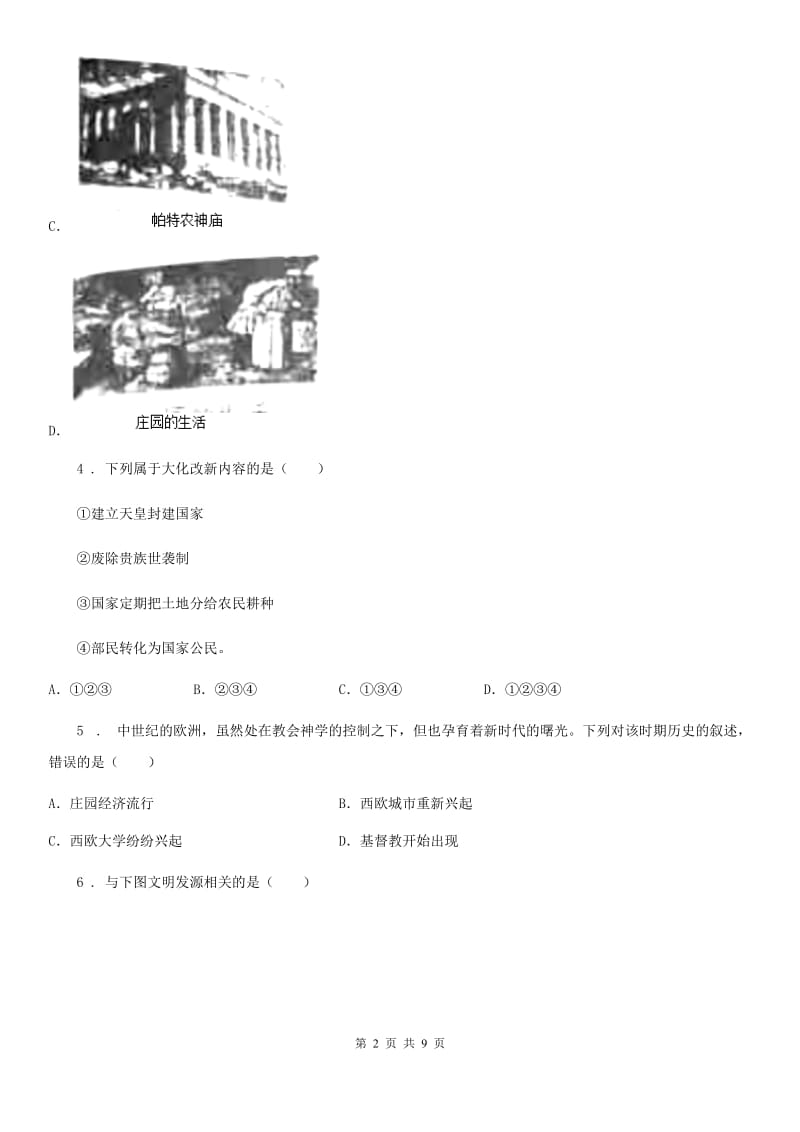 武汉市2020版九年级上学期期中历史试题D卷_第2页