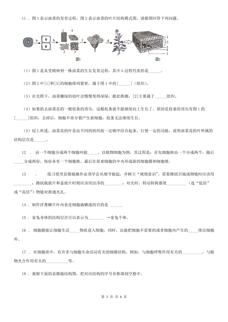 广州市2020版七年级上学期期中生物试题（II）卷_第3页