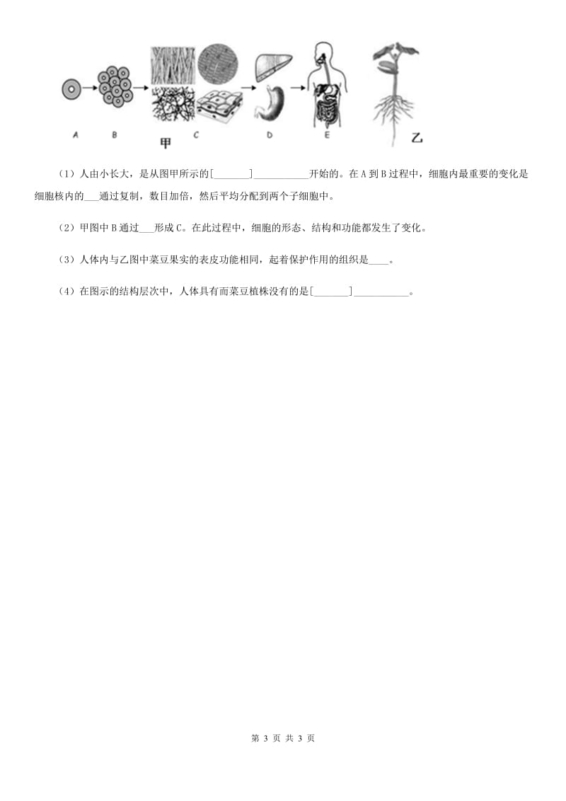 呼和浩特市2020年生物七年级上册2.2.2动物体的结构层次同步练习题（I）卷_第3页