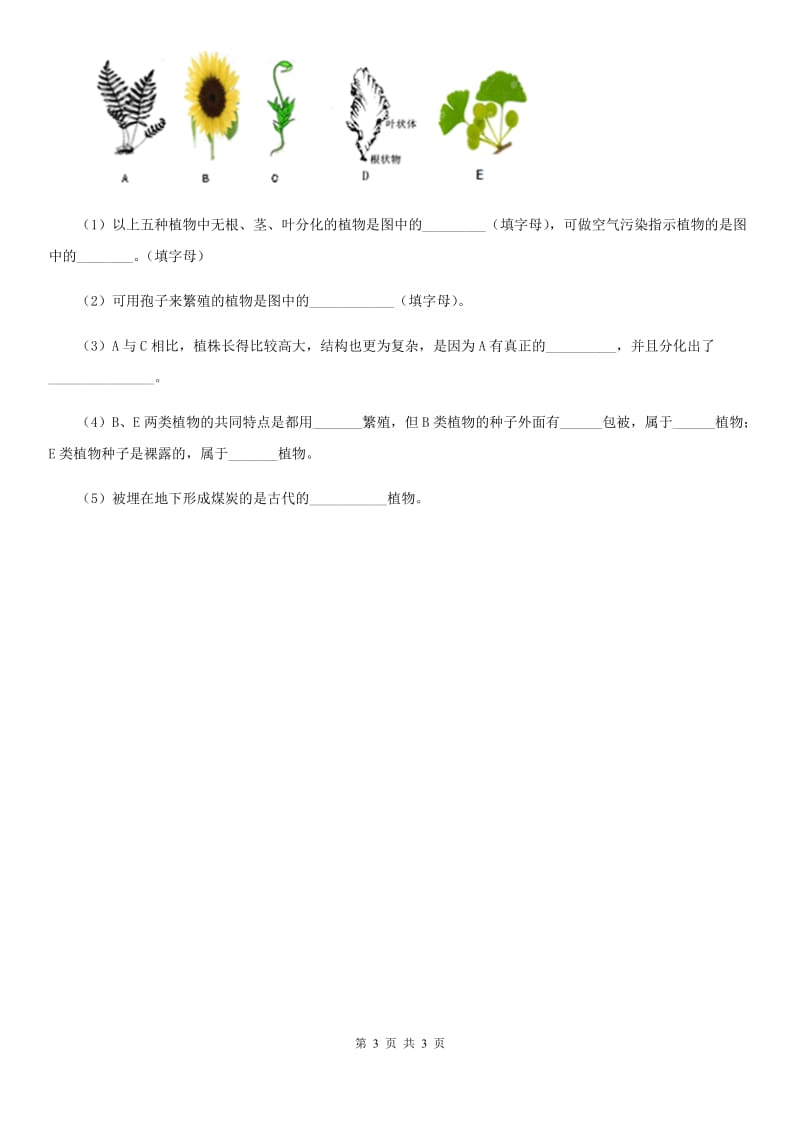 海口市2019-2020年度七年级上册生物 3.1.1藻类、苔藓和蕨类植物 同步测试题A卷_第3页