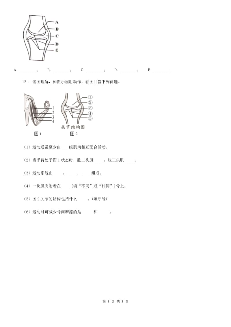 海口市2020年八年级上学期9月月考生物试题B卷_第3页