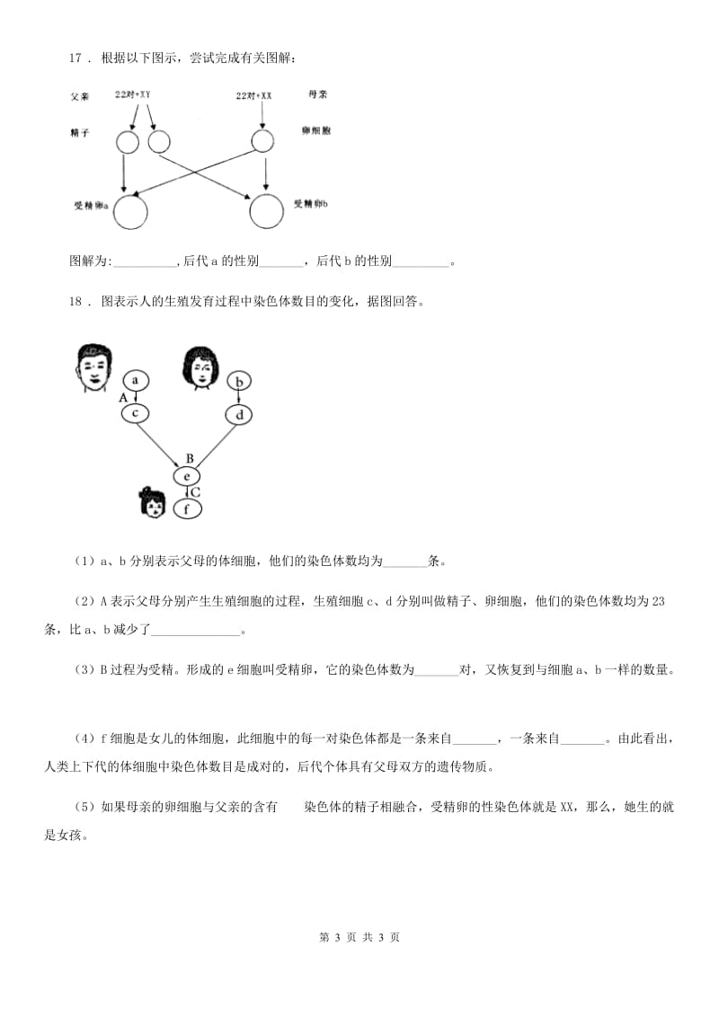 八年级下册生物 7.2.4人的性别遗传 同步测试题_第3页