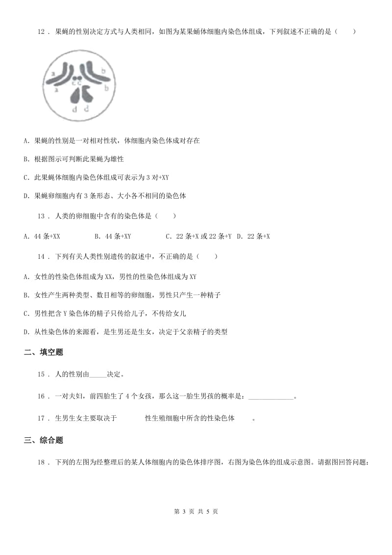 八年级下册生物 22.3人的性别和决定_第3页