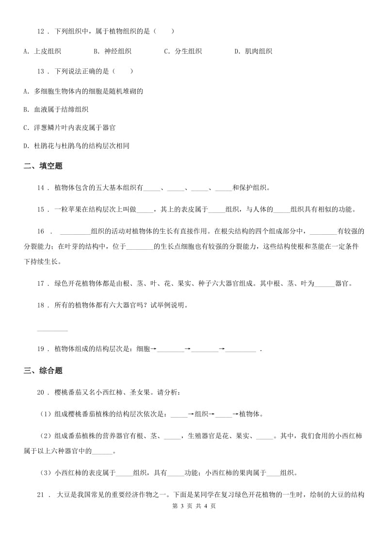 河北省2020年生物七年级上册2.2.3植物体的结构层次同步练习题C卷_第3页