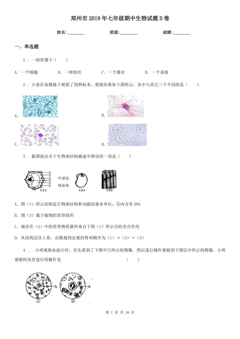 郑州市2019年七年级期中生物试题D卷_第1页