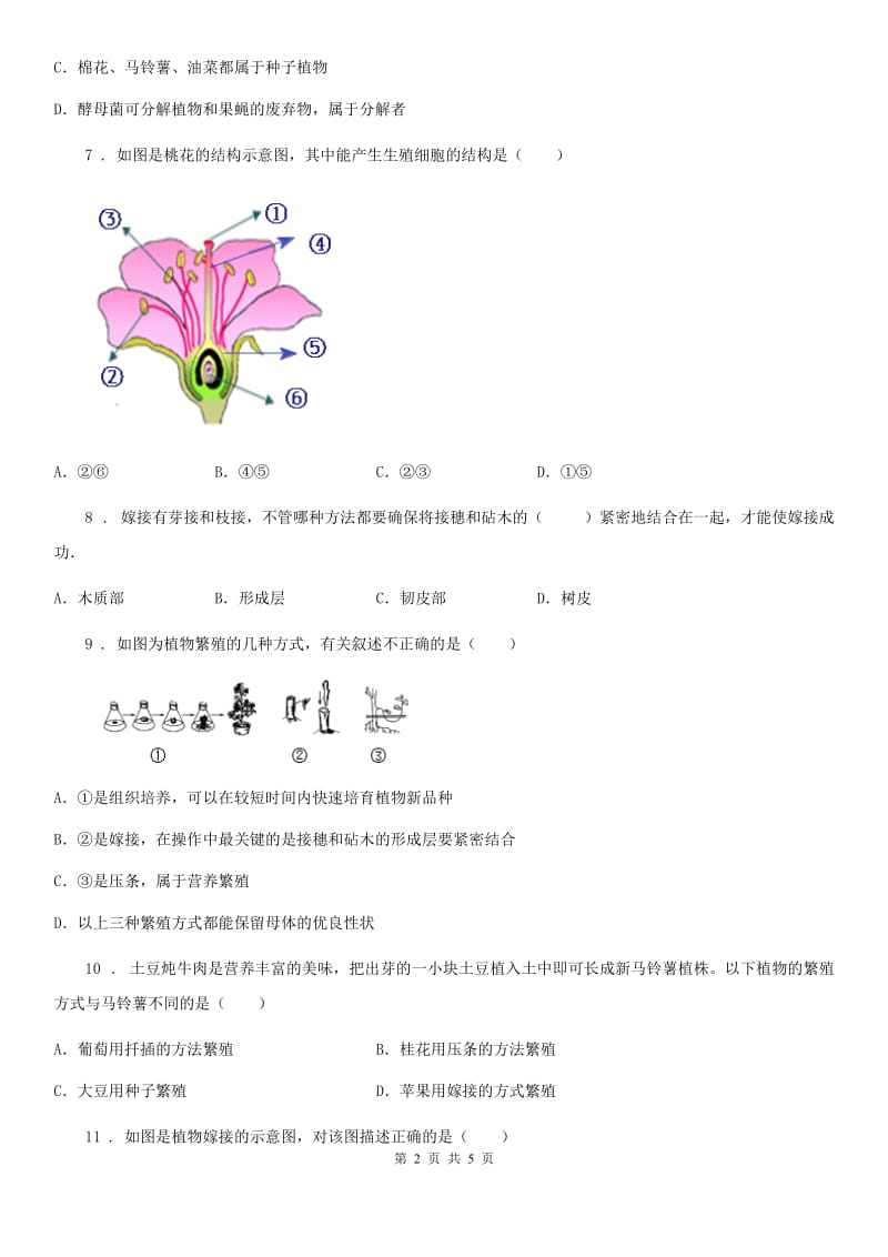 河北省2019年八年级下册生物同步练习题 8.1.1植物的生殖B卷_第2页