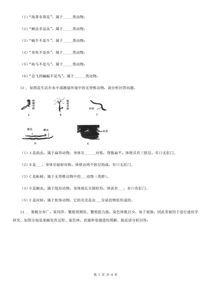 南京市2019-2020年度八年级上学期第一次月考生物试题B卷_第3页