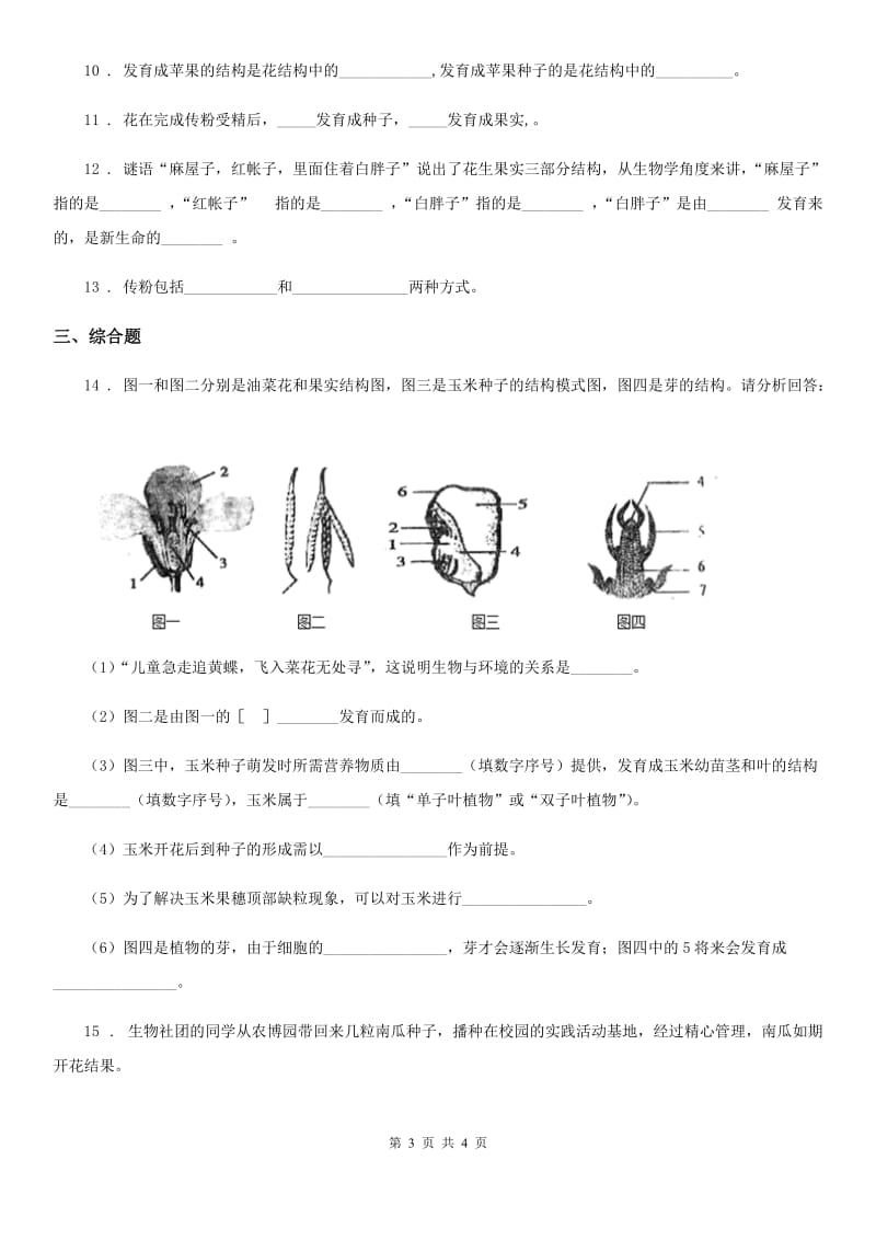 黑龙江省2019年七年级上册生物 3.6.3生殖器官的生长同步测试题（II）卷_第3页