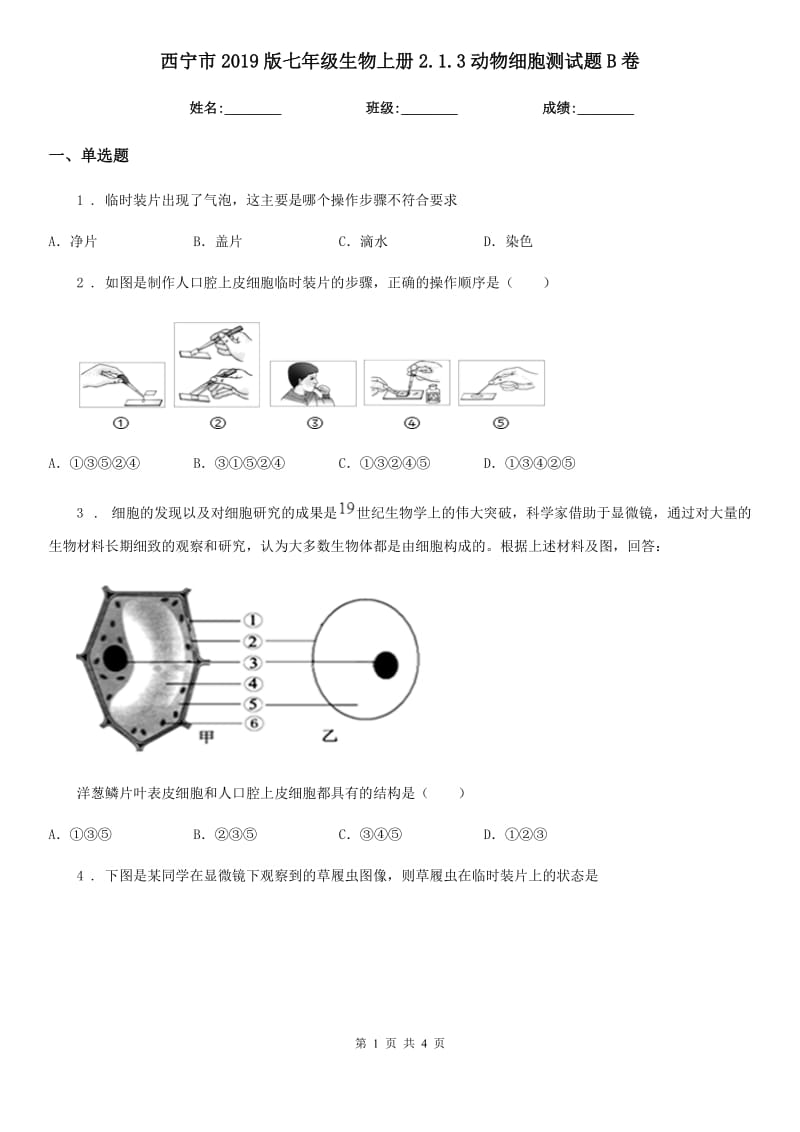 西宁市2019版七年级生物上册2.1.3动物细胞测试题B卷_第1页