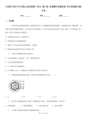 山西省2020年七年級(jí)上冊(cè)生物第二單元 第三章 生物圈中的微生物 單元鞏固練習(xí)題B卷