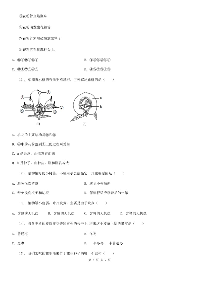 南京市2019版八年级生物上册第四单元第一章绿色开花植物的一生检测题（I）卷_第3页