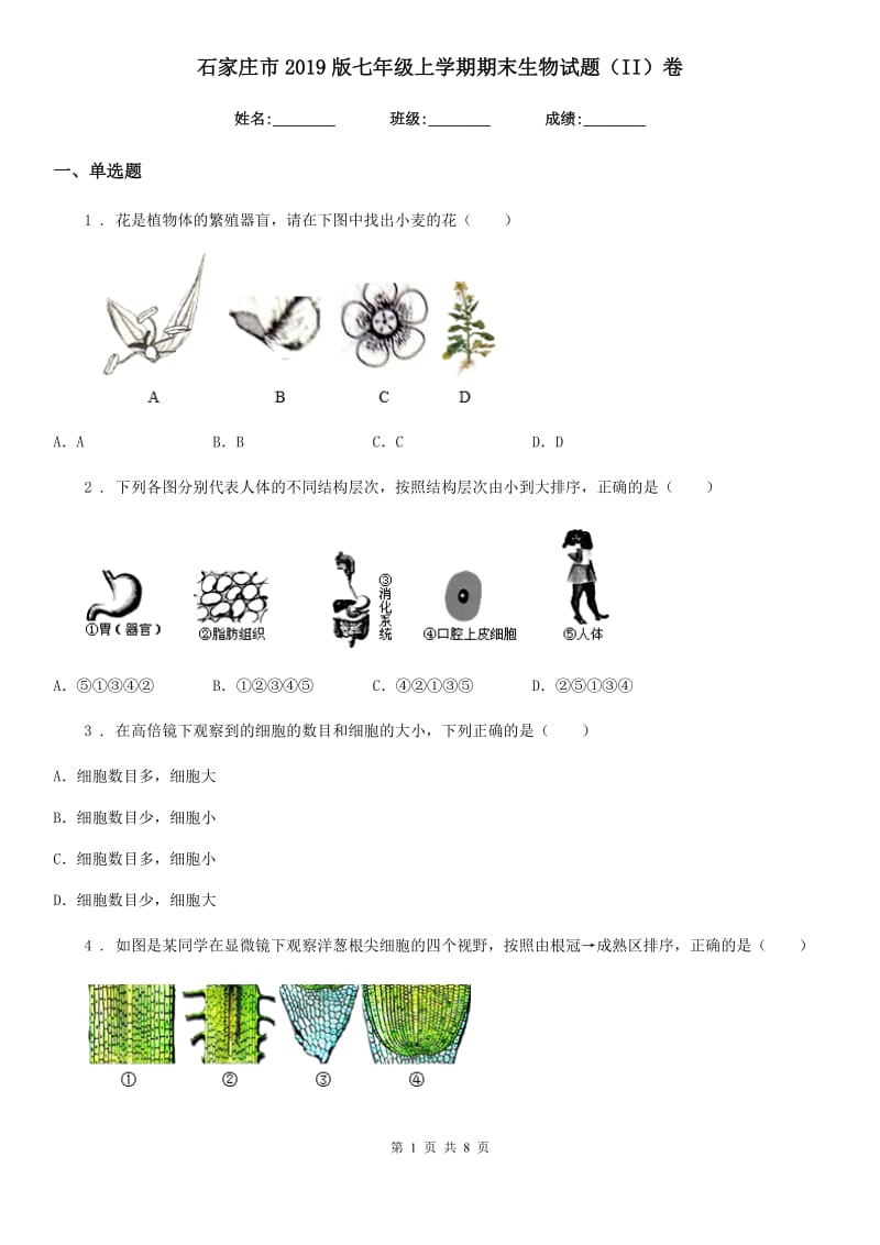 石家庄市2019版七年级上学期期末生物试题（II）卷_第1页