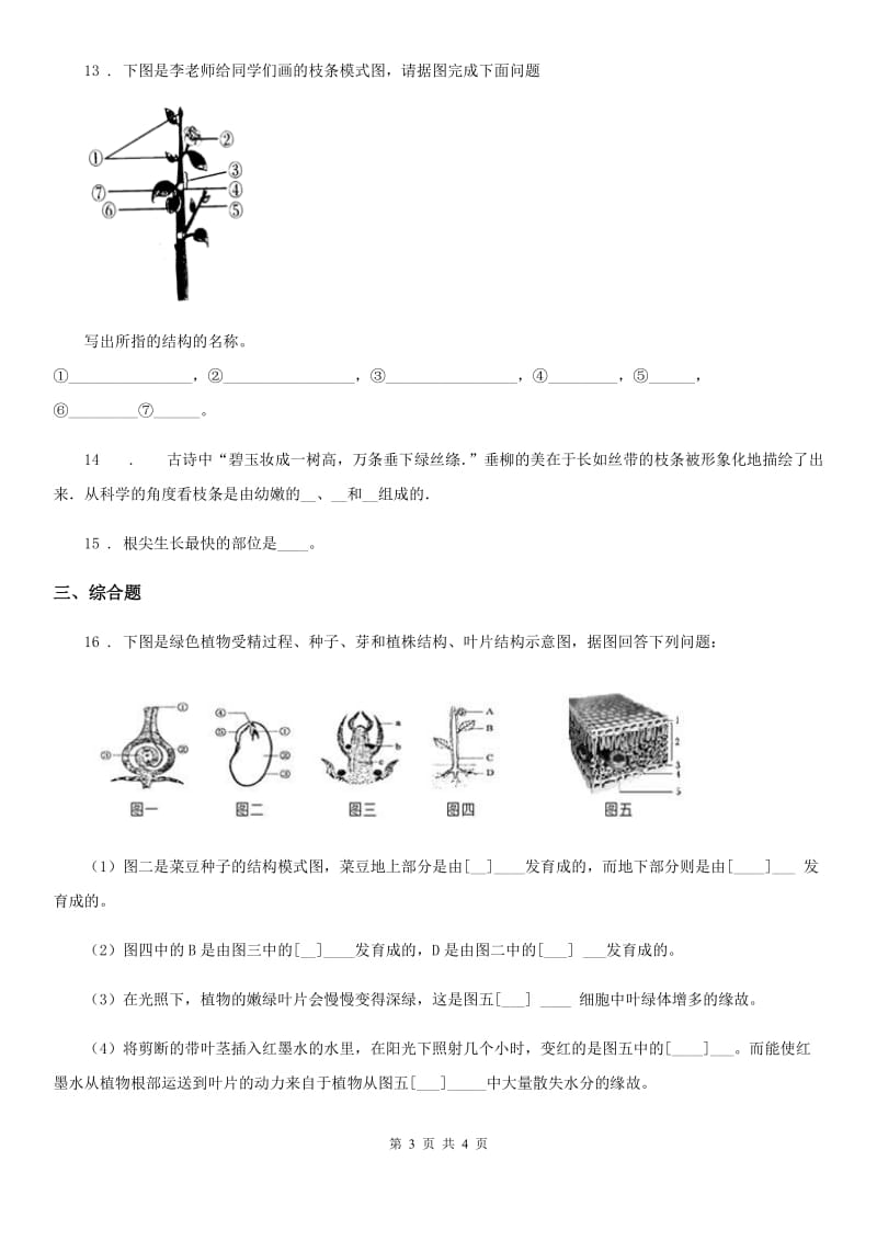 八年级生物上册 4.1.6芽的类型和发育 同步测试题_第3页