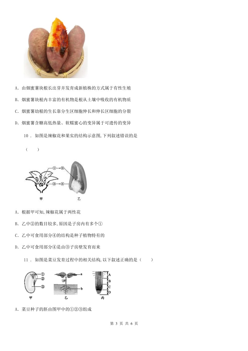 沈阳市2019年八年级生物上册4.1绿色开花植物的一生 单元测试题C卷_第3页