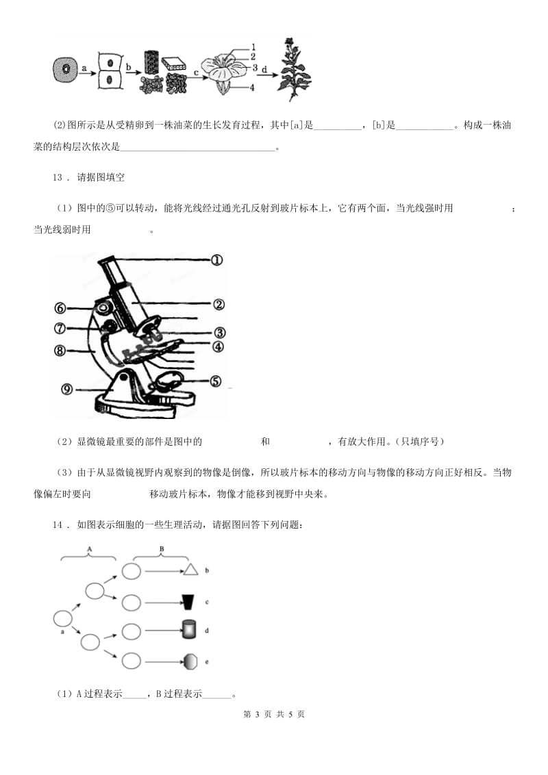 西安市2019年七年级上册生物第二单元生物体的结构测试题A卷_第3页