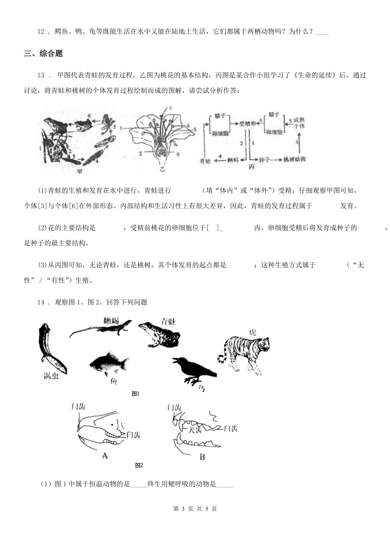 南京市2020版八年级生物上册 第五单元 第一章 第五节 两栖动物和爬行动物 同步测试题（II）卷_第3页