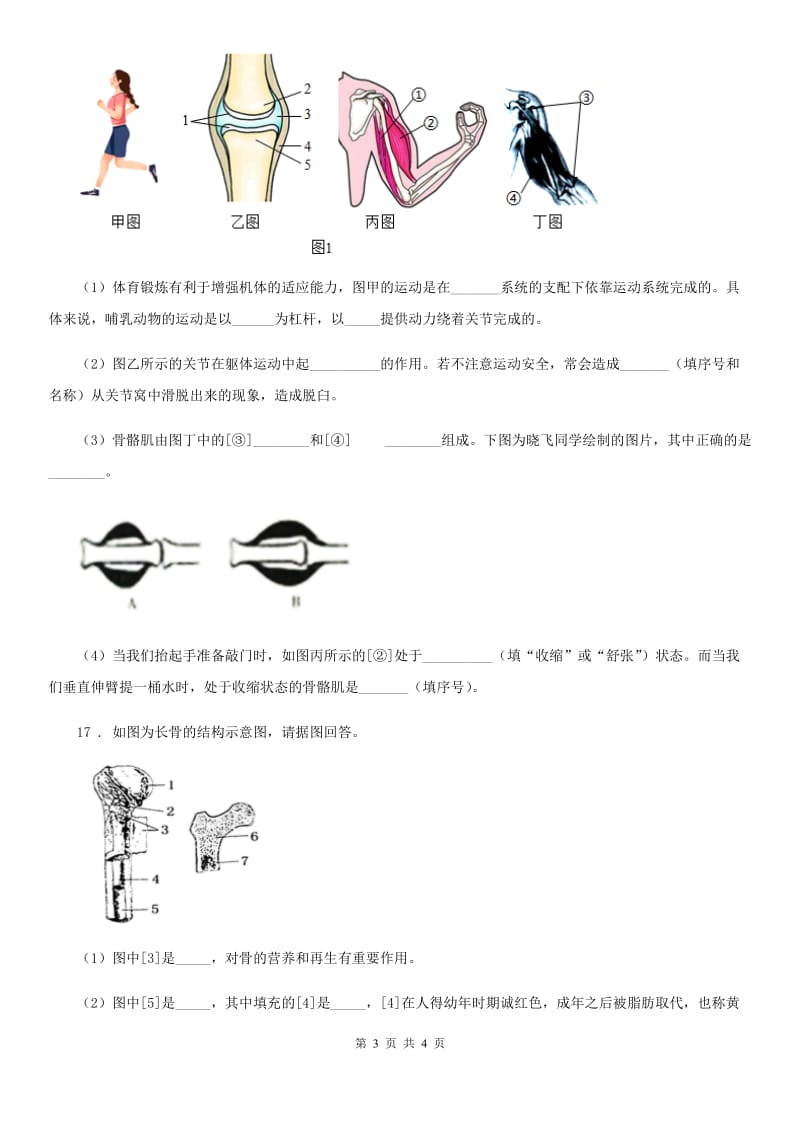 黑龙江省2020年八年级生物上册 5.15.2动物运动的形成 同步测试题A卷_第3页