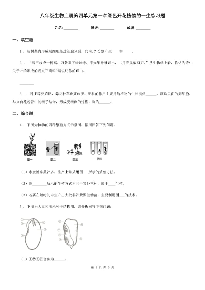 八年级生物上册第四单元第一章绿色开花植物的一生练习题_第1页