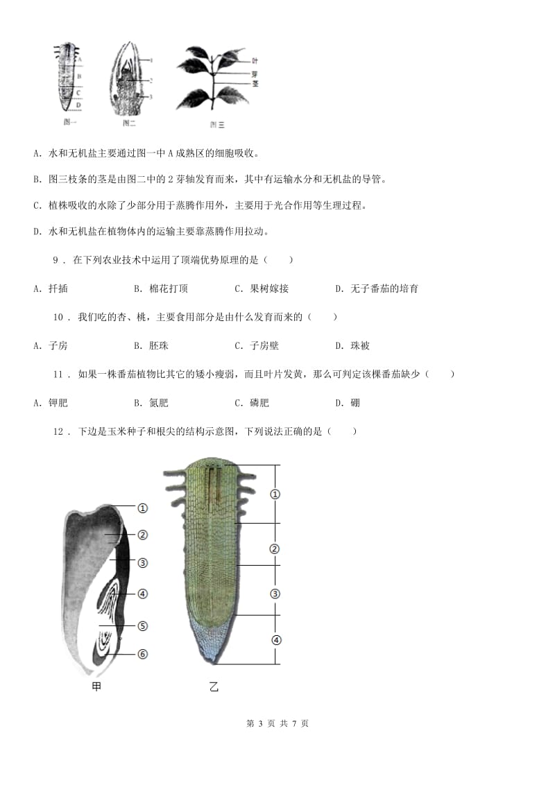 南京市2020年七年级上册生物 第三单元第二章 被子植物的一生 单元巩固训练题A卷_第3页