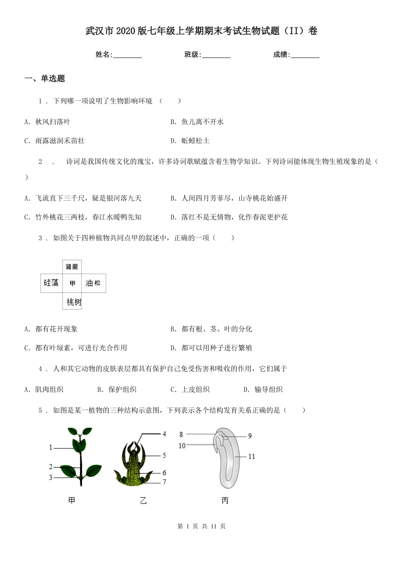 武汉市2020版七年级上学期期末考试生物试题（II）卷_第1页