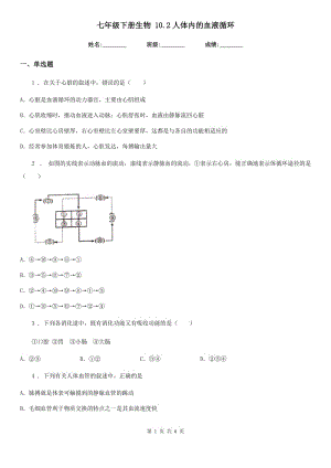 七年級下冊生物 10.2人體內(nèi)的血液循環(huán)