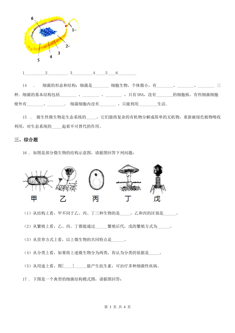 八年级上册生物 5.18.1微生物在生物圈中的作用 同步测试题_第3页